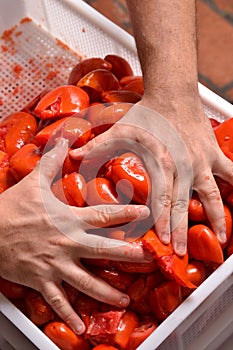 preparing passata sauce.