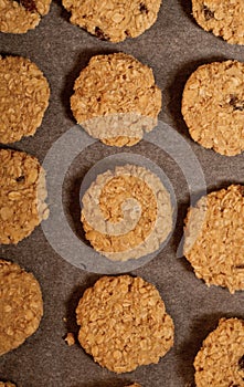 Preparing the pastry to make small cakes