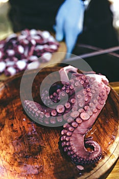 Preparing Plate of cooked octopus. Pulpo a la gallega. photo