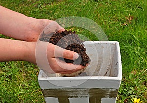 Preparing pot for cultivation photo