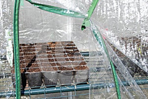 Preparing seed boxes in small greenhouse, in the sunlight