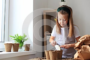 Preparing seedlings for planting in the ground
