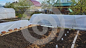 Preparing the soil on the beds for planting vegetables