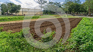 Preparing the soil for planting crops in a garden There are divisions for sowing seeds. The soil is fertile.