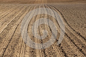 preparing the soil for planting plants in agriculture