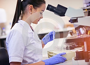 Preparing specimens and samples. a young scientist transferring liquid from a pipette to a test tube in a laboratory.