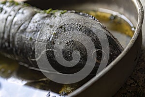 Preparing Tonnarella Fish for Cooking