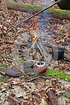 Preparing yerba mate drink in woods