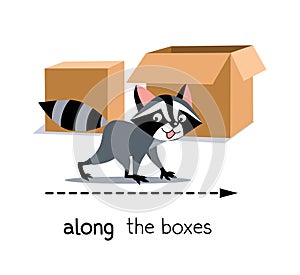 Preposition of movement. Raccoon walks along the boxes