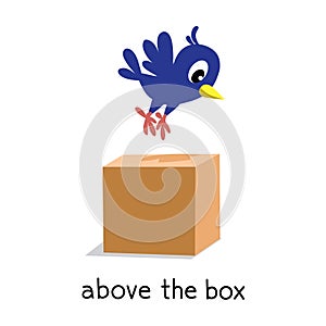 Preposition of place. BIrd above the box