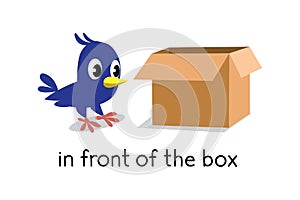 Preposition of place. Bird in front of the box