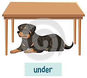 Preposition of place with cartoon dog and a table