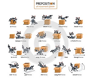 Preposition of place and movement. Raccoon and box photo