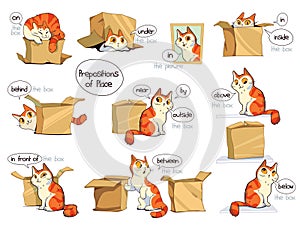 Prepositions of place. English prepositions. A clear example with a cat and a box