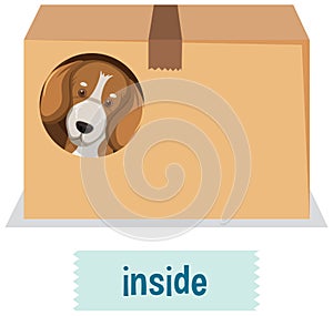 Prepostion wordcard design with dog inside box