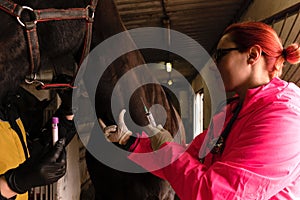 Prepping injection for equine veterinary procedure