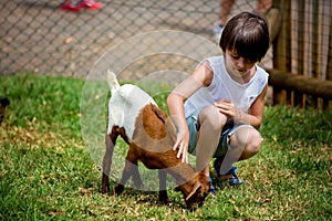 Preschool boy, petting little goat in the kids farm. Cute kind child feeding animals