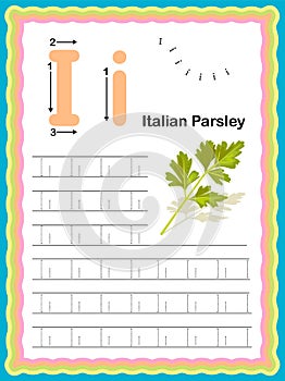 Preschool Colorful letter K Uppercase and Lowercase Tracing alphabets start with Vegetables and fruits daily writing practice