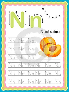 Preschool Colorful letter N Uppercase and Lowercase Tracing alphabets start with Vegetables and fruits daily writing practice