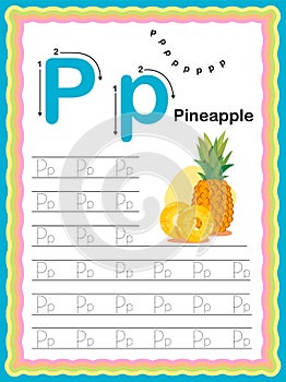 Preschool Colorful letter P Uppercase and Lowercase Tracing alphabets start with Vegetables and fruits daily writing practice