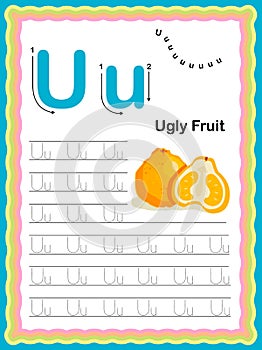 Preschool Colorful letter U Uppercase and Lowercase Tracing alphabets start with Vegetables and fruits daily writing practice