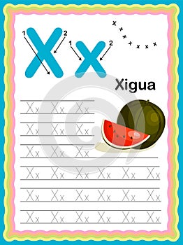 Preschool Colorful letter X Uppercase and Lowercase Tracing alphabets start with Vegetables and fruits daily writing practice