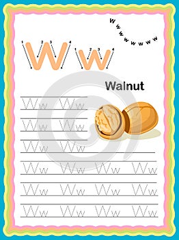 Preschool Colorful letter W Uppercase and Lowercase Tracing alphabets start with Vegetables and fruits daily writing practice