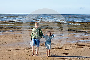 Preschool Girl and School Boy, Siblings on a Norman Beach in Normandy, Embracing the Joy of Sandy Shores, Seashells, and