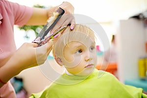 Preschooler boy getting haircut