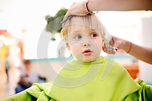 Preschooler boy getting haircut