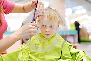 Preschooler boy getting haircut. Children hairdresser with professional tools - comb and scissors