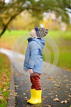 Preschooler boy walking in autumn park. Kid exploring nature. Outdoor activities for children
