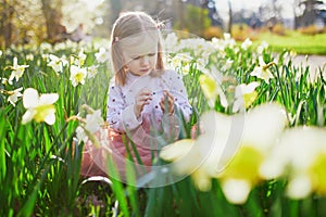 Preschooler girl sitting on the grass with yellow narcissi