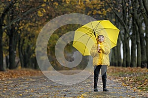 Preschooler in yellow raincoat with yellow umbrella in an autumn park. Walking on rainy fall day