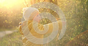 Preschoolers Exploring the Woods. Baby boy happy to walking. Little Baby Boy In Nature. 2-year-old boy in a yellow