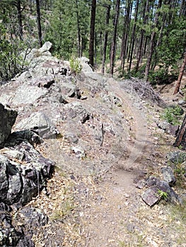 Prescott Valley National Forest photo