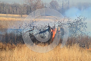 Prescribed burn of weeds