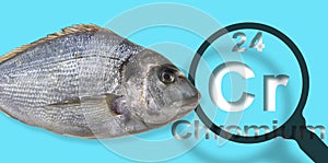 Presence of Chromium in farmed fish - concept with the Mendeleev periodic table and magnifying glass