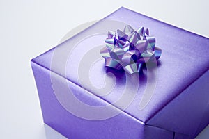 Present Wrapped In Purple Paper