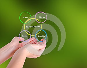 Presentation of expectation diagram