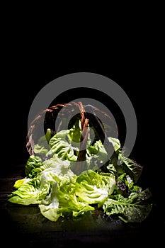 Presentation of green salad in basket