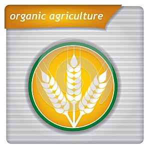 Presentation template - organic agriculture