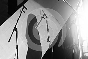 Presenter and a professional speech or presentation on stage