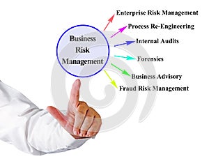 Presenting Business Risk Management