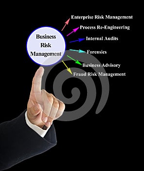 Presenting Business Risk Management
