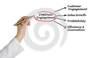 Components of Employee Engagement