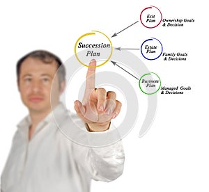 Components of Succession plan