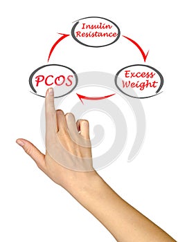 Cycle leading to PCOS