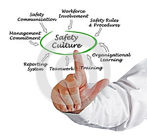 Safety Culture