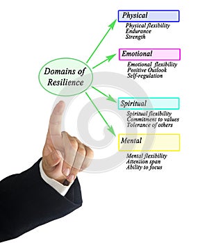 Presenting Domains of Resilience